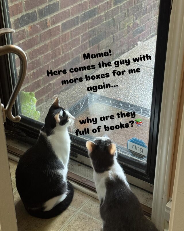 Don’t you wonder what your pets (and neighbors) think sometimes? I know my USPS, UPS, and Fed-ex drivers really well… and I’m so grateful for them! 💕 Stocking up means heavy boxes for everyone and they are the best! 

😘 Thank your delivery friends often
 (Hi Debbie!)